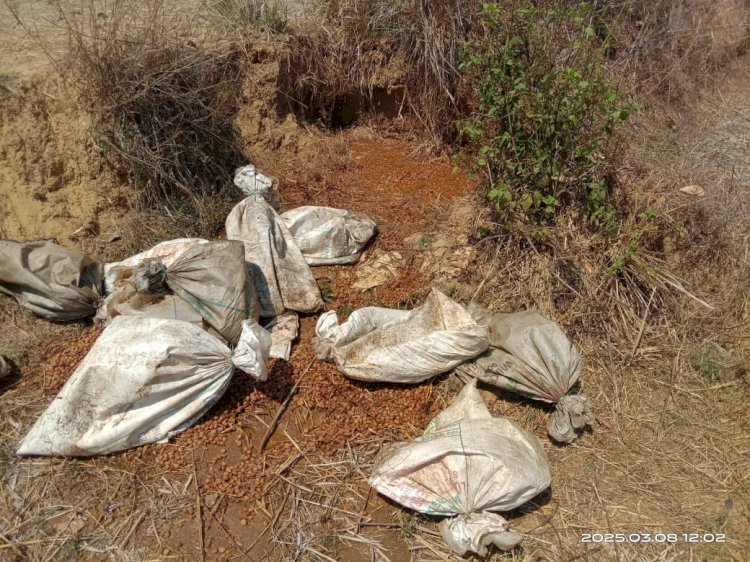 अवैध शराब पर आबकारी विभाग की कड़ी कार्यवाही 