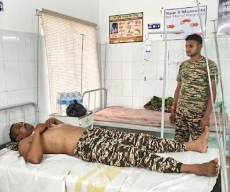 मधुमक्खी के हमले से घायल जवान आइईडी ब्लास्ट से बाल बाल बचा