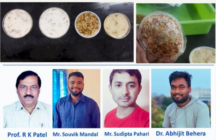 फूलों के कचरे से तैयार बहुउद्देश्यीय जैविक अपघटनीय पैकेजिंग सामग्री