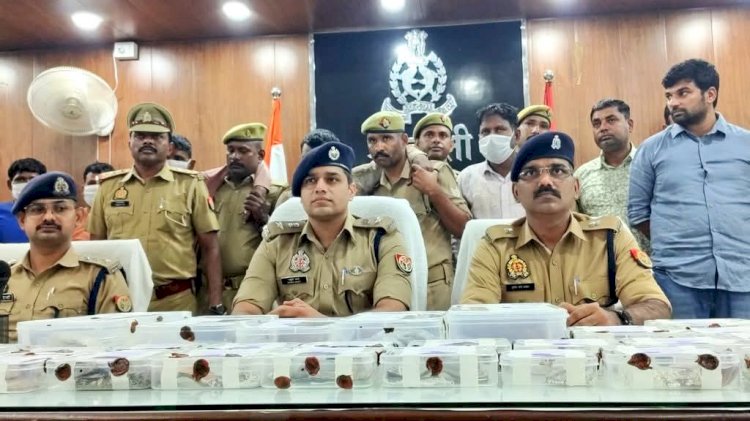पूर्वांचल में हिंसक डकैतों का दहशत 6 गिरफ्तार 