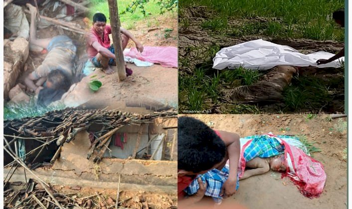लैलूंगा वन क्षेत्र में हाथियों का आतंक  एक ही रात में तीन मौतें