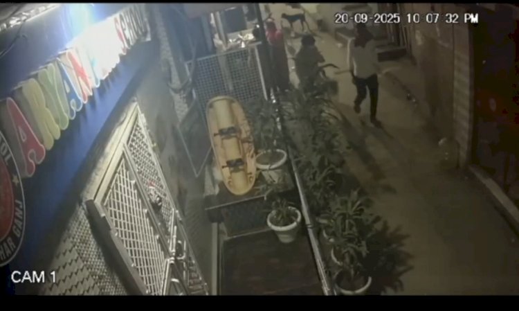 वरिष्ठ पत्रकार मणि आर्य पर जानलेवा हमला