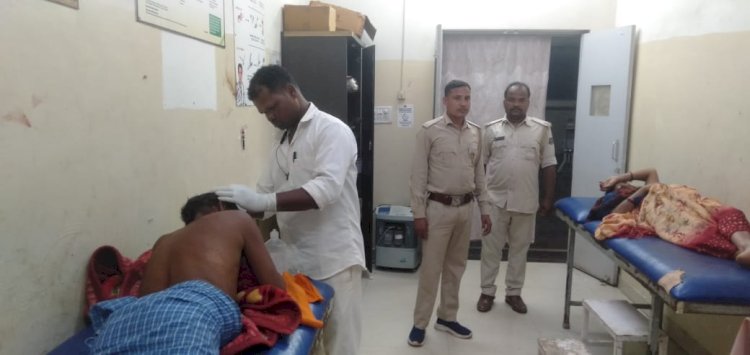 हाथी के हमले से दंपत्ति घायल