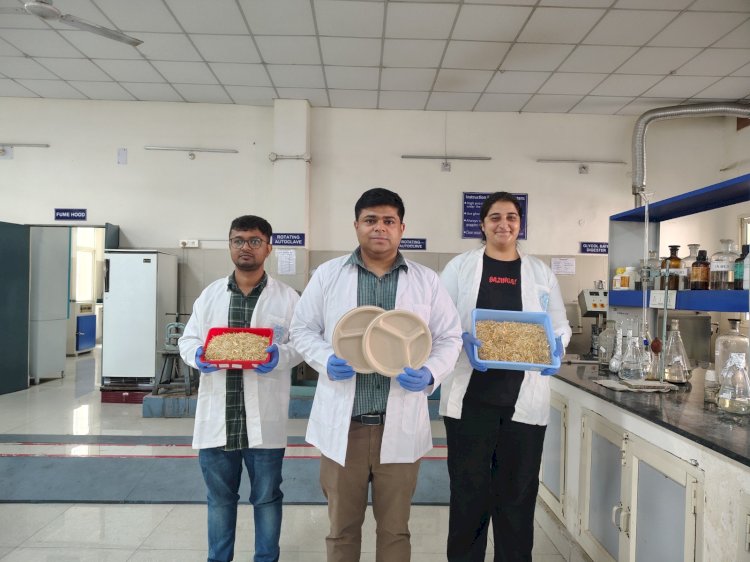 आईआईटी रूड़की ने गेहूं के भूसे से बनाए परिवेश अनुकू पत्तल