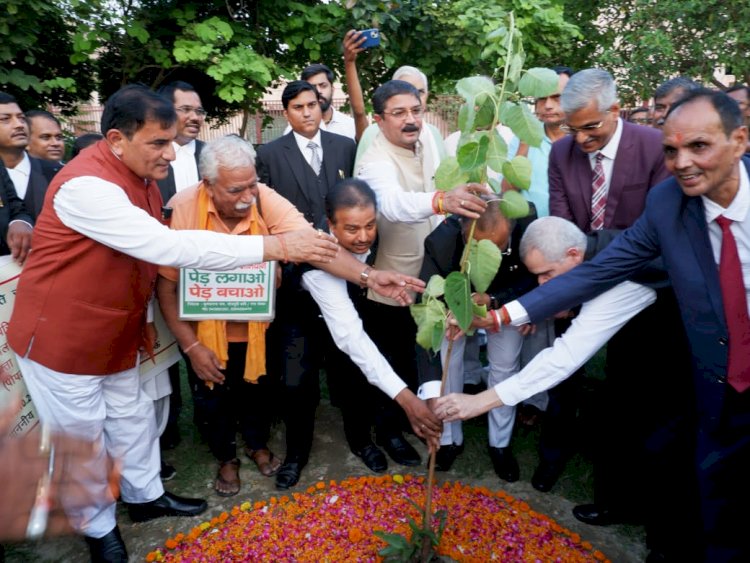 उच्च न्यायालय में दिखा प्रकृति प्रेम लगाए गए हरिशंकरी पौधे