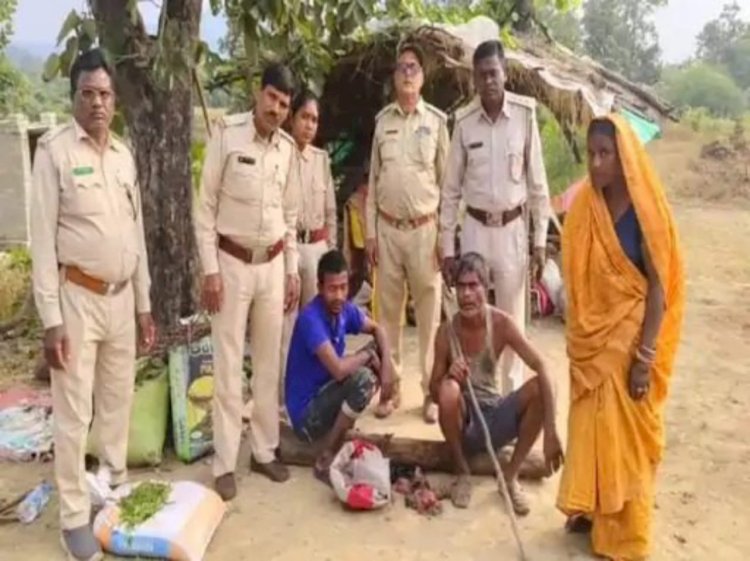 कोरबा में बारूद और करंट से जंगली सूअर का शिकार पांच गिरफ्तार दो फरार