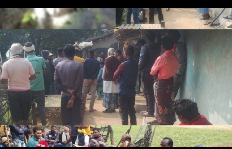 हाथी के हमले से उप सरपंच की मौत