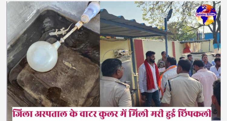 जिला अस्पताल के वाटर कुलर में मिली मरी हुई छिपकली