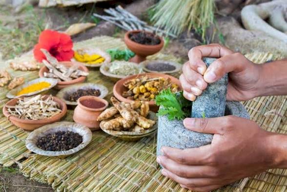 हमारे जीवन में आयुर्वेद का महत्व