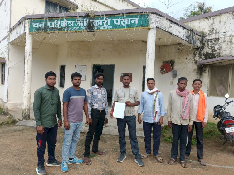 पसान में जंगल का खुलेआम कत्ल