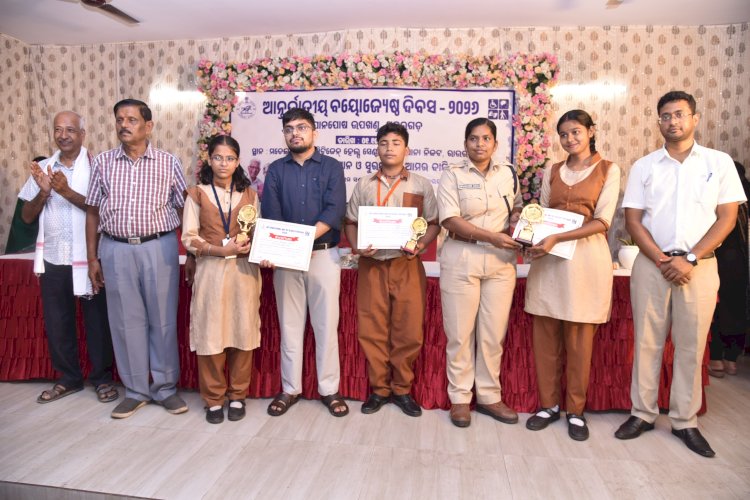 राजगांगपुर में हाथी आने से लोंगों में दहशत  
