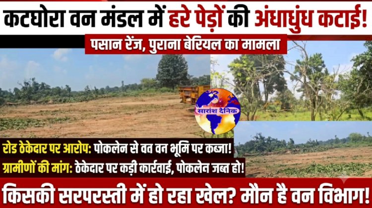 हरे भरे पेड़ों की कटाई पर उठा सवाल